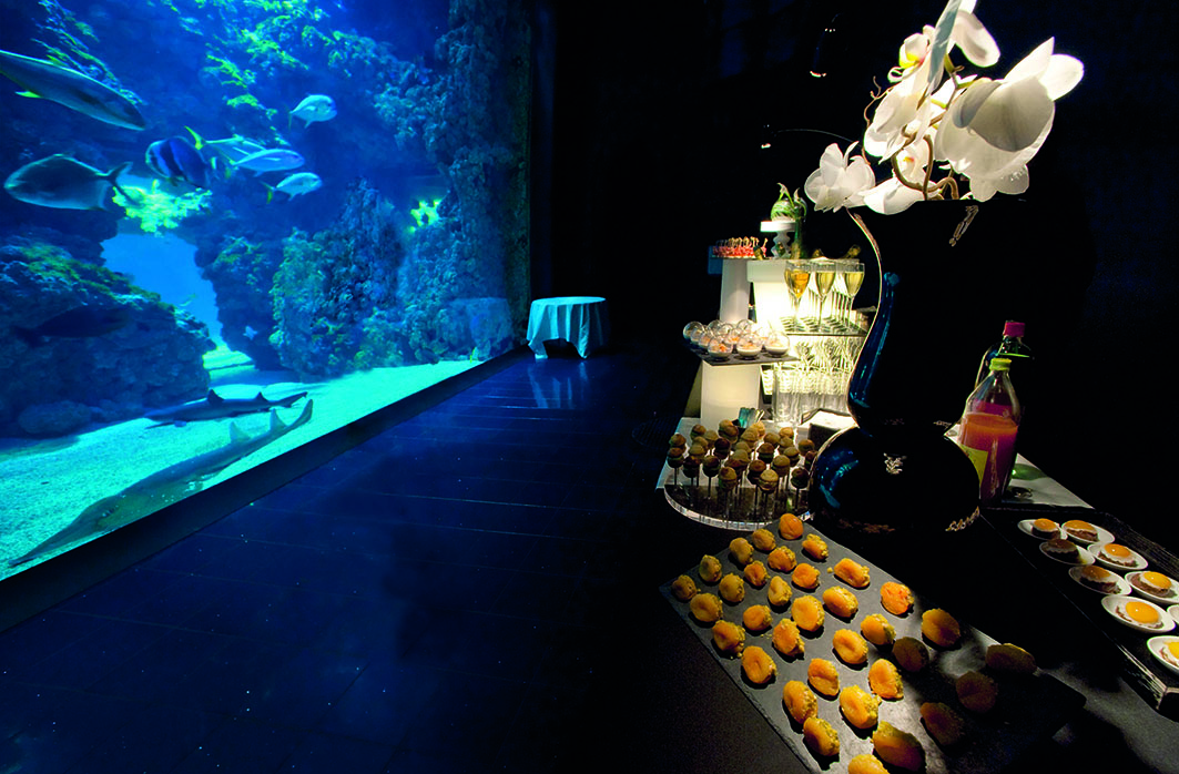 Musée océanographique de Monaco